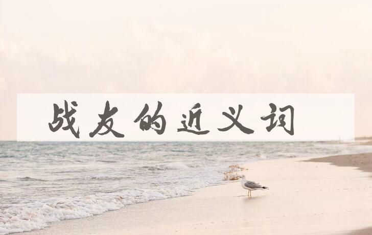 用战友造句