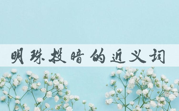 用明珠投暗造句
