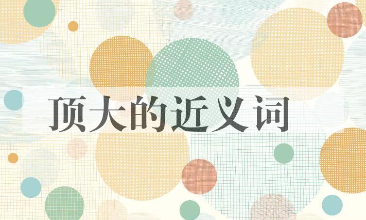 用顶大造句