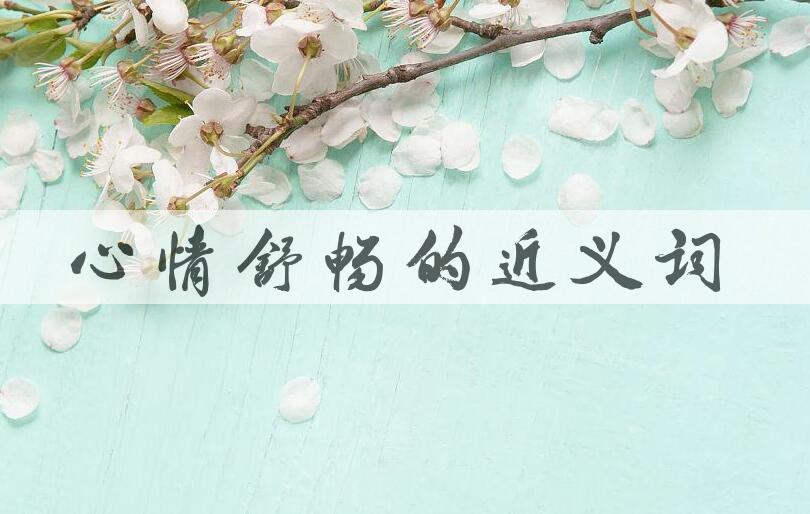 用心情舒畅造句