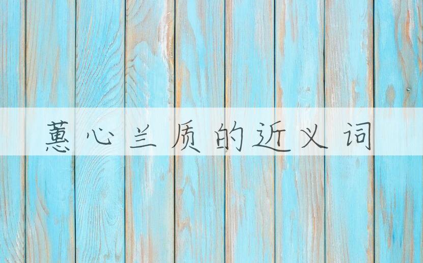 用蕙心兰质造句