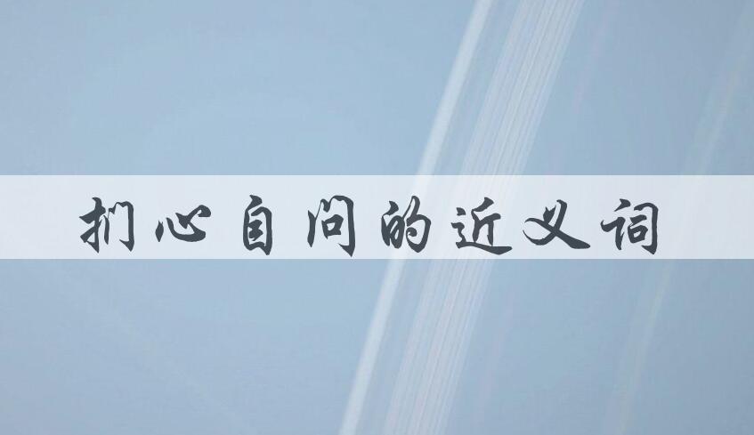 用扪心自问造句