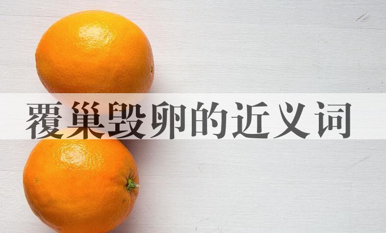 用覆巢毁卵造句