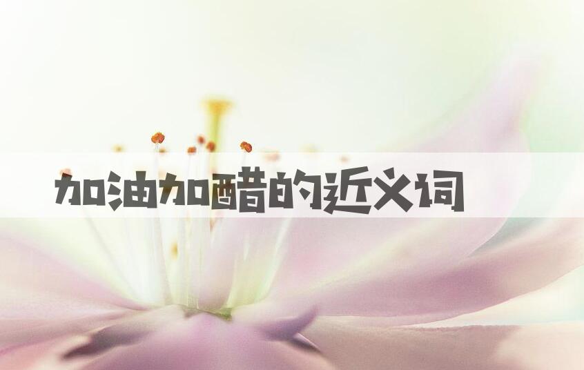 用加油加醋造句