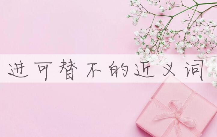 用进可替不造句