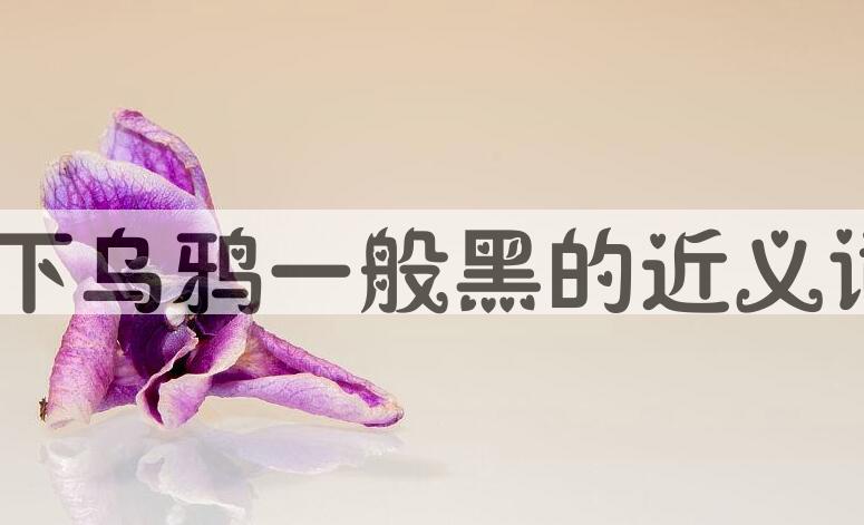 用天下乌鸦一般黑造句