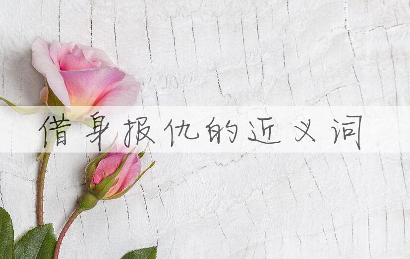 用借身报仇造句