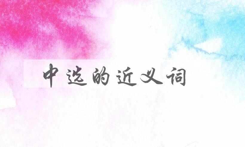 用中选造句