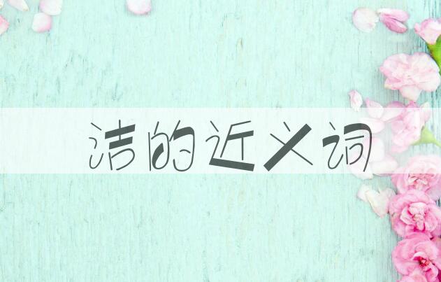 用晈洁造句