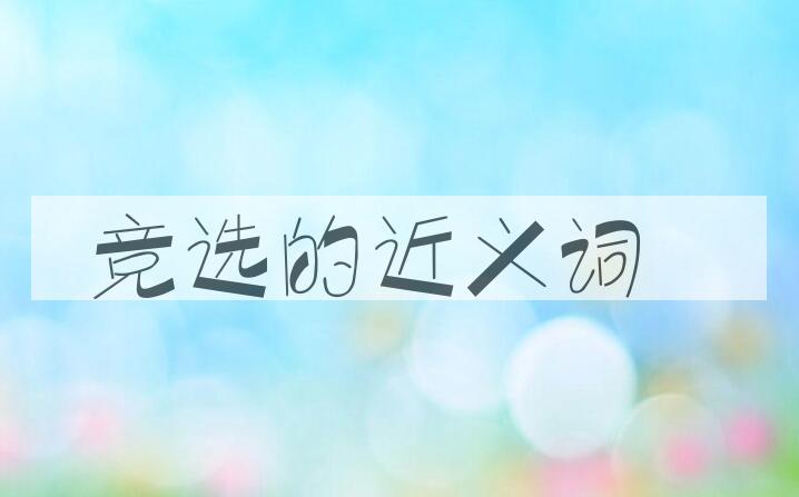用竞选造句