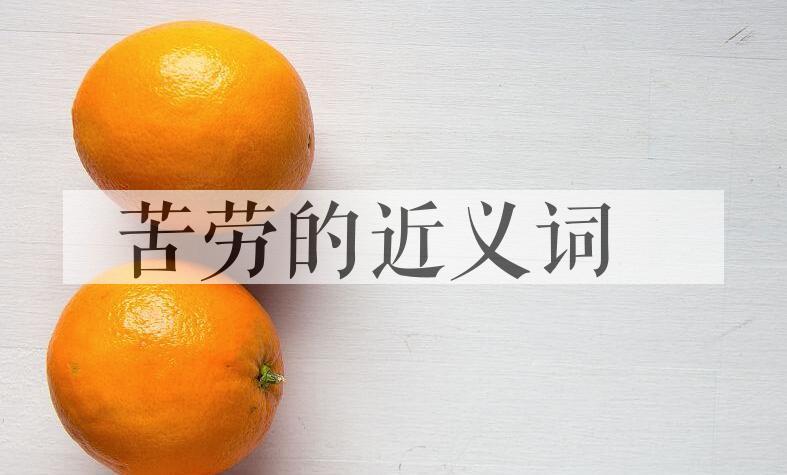用苦劳造句