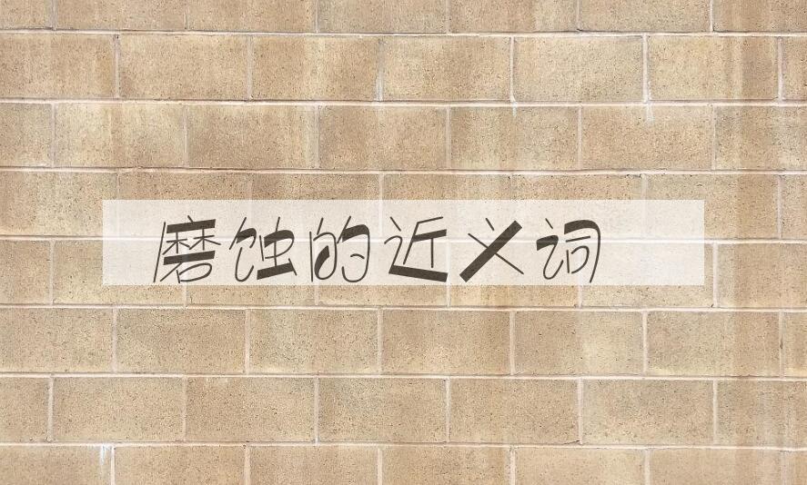 用磨蚀造句
