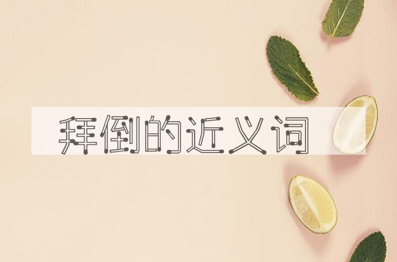 用拜倒造句
