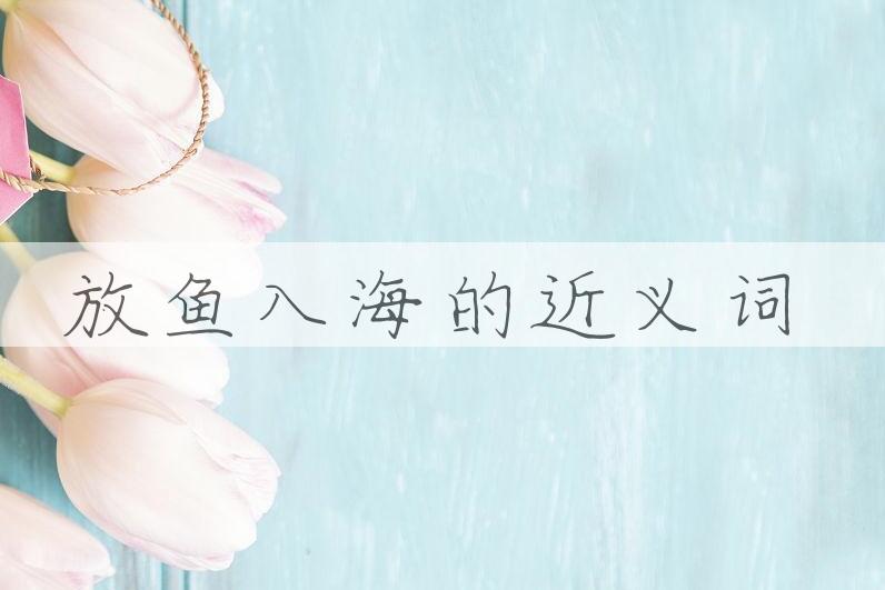 用放鱼入海造句