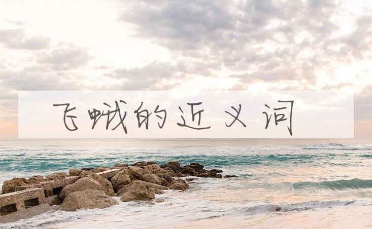 用飞蛾造句