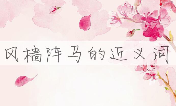 用风樯阵马造句