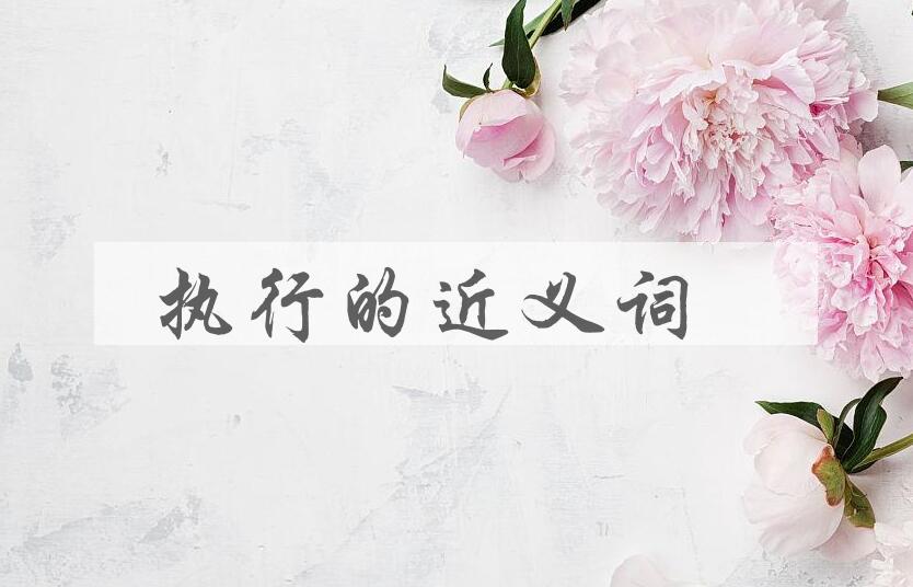 用执行造句