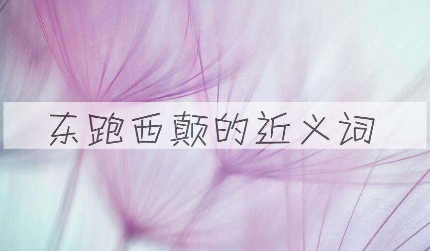 用东跑西颠造句