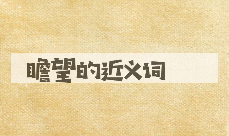 用瞻望造句
