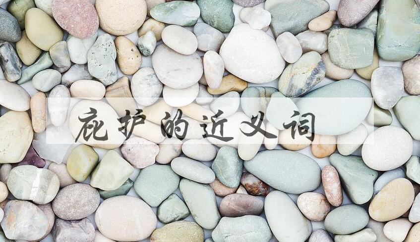 用庇护造句