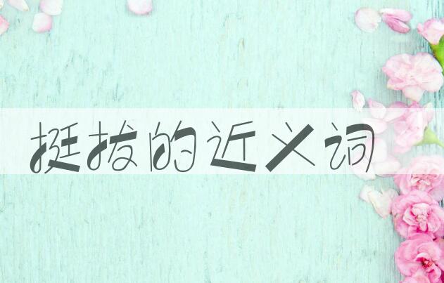 用挺拔造句