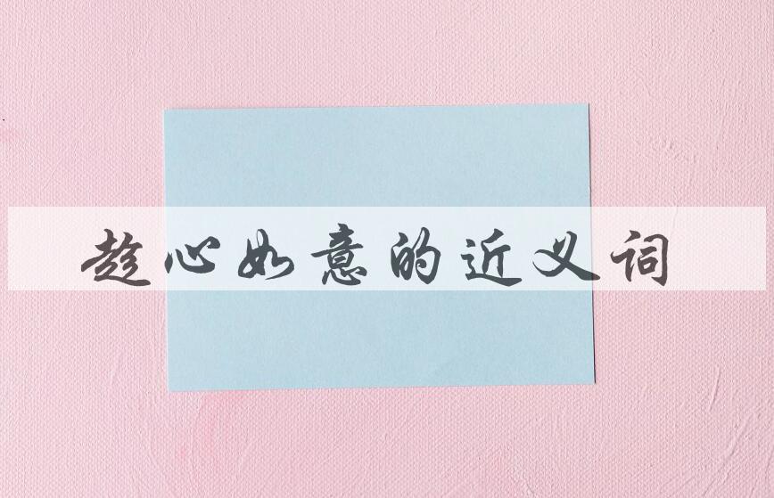 用趁心如意造句