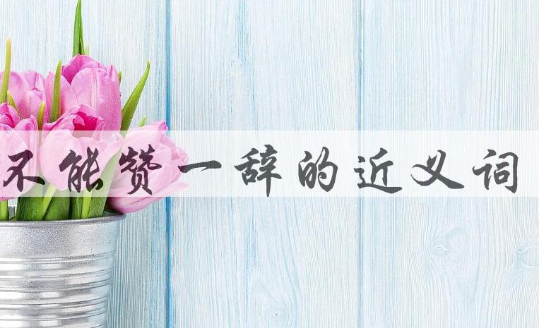 用不能赞一辞造句