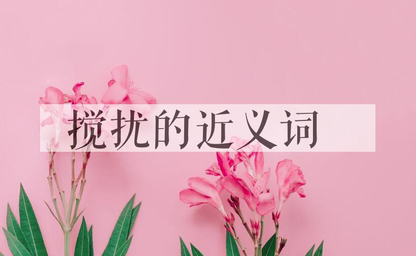 用搅扰造句