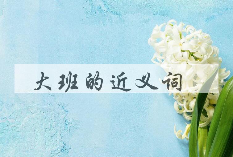 用大班造句