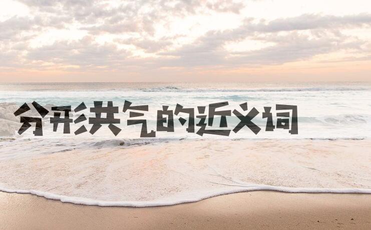 用分形共气造句