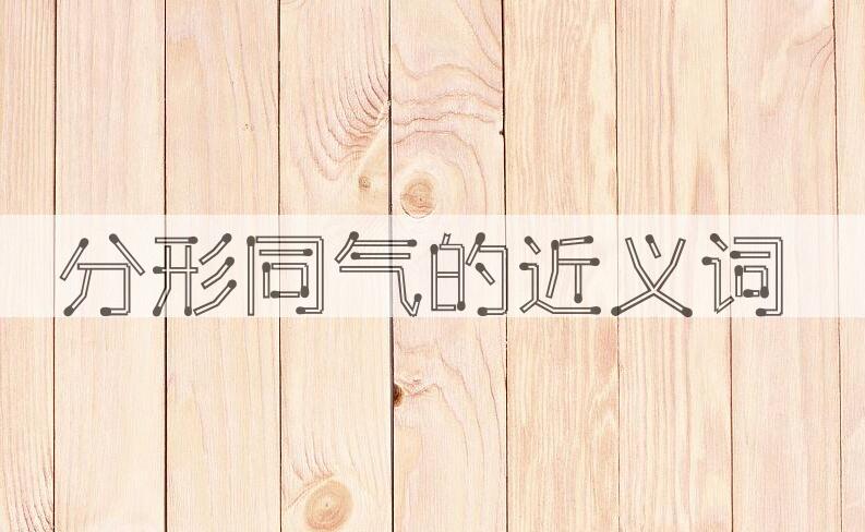 用分形同气造句
