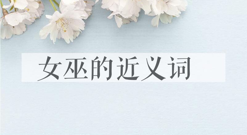 用女巫造句