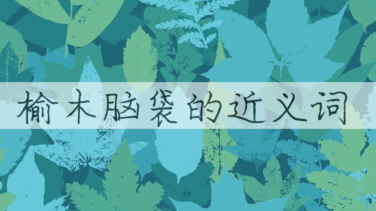 用榆木脑袋造句
