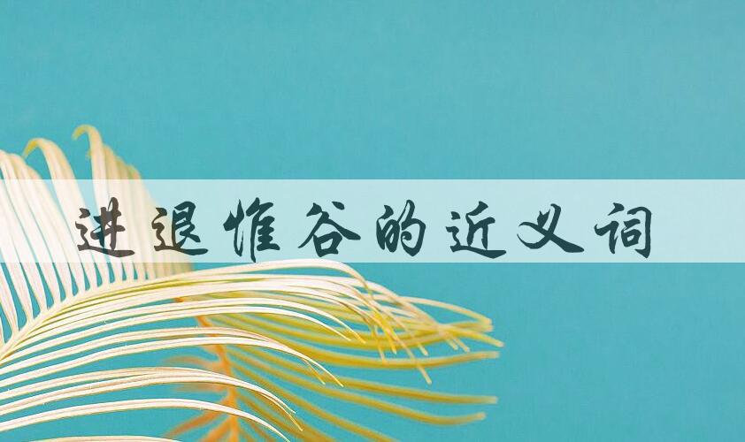 用进退惟谷造句