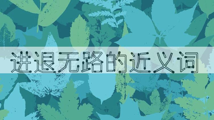 用进退无路造句