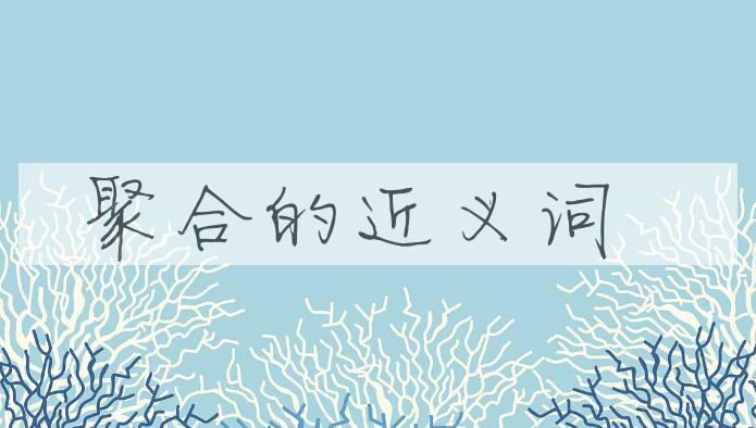 用聚合造句
