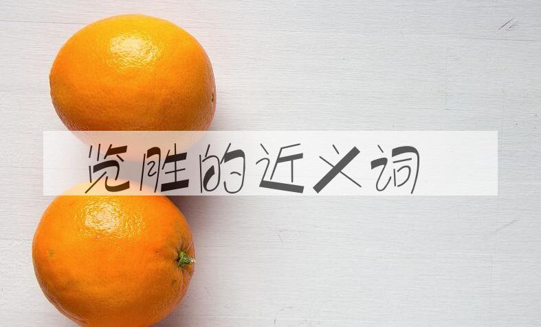 用览胜造句