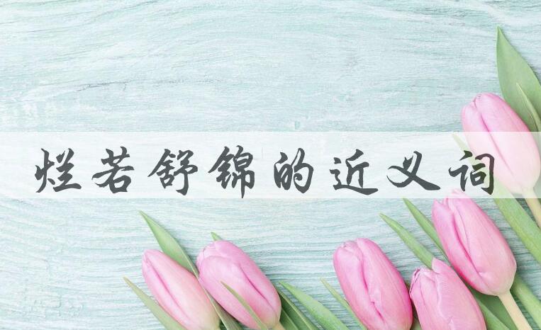 用烂若舒锦造句