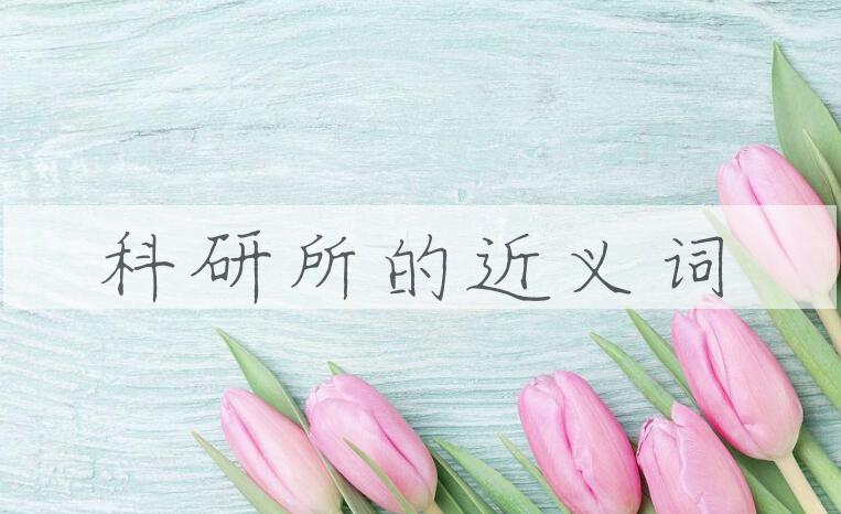 用科研所造句