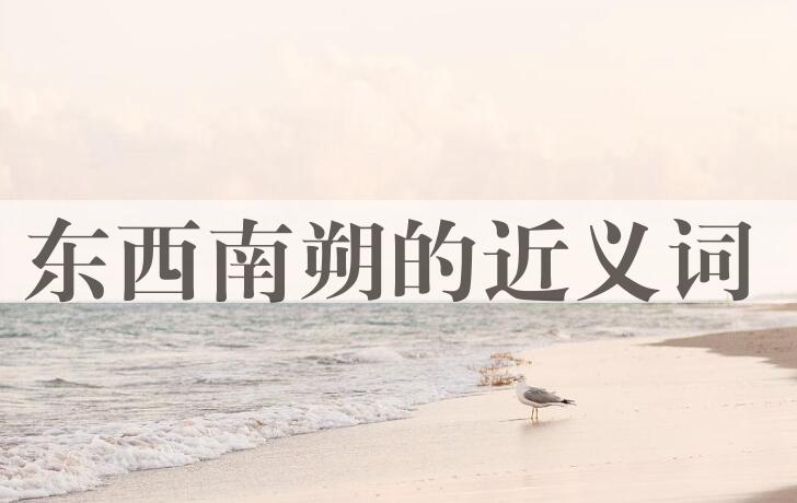 用东西南朔造句