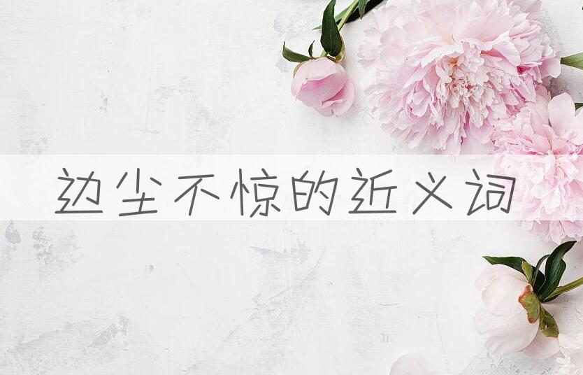 用边尘不惊造句