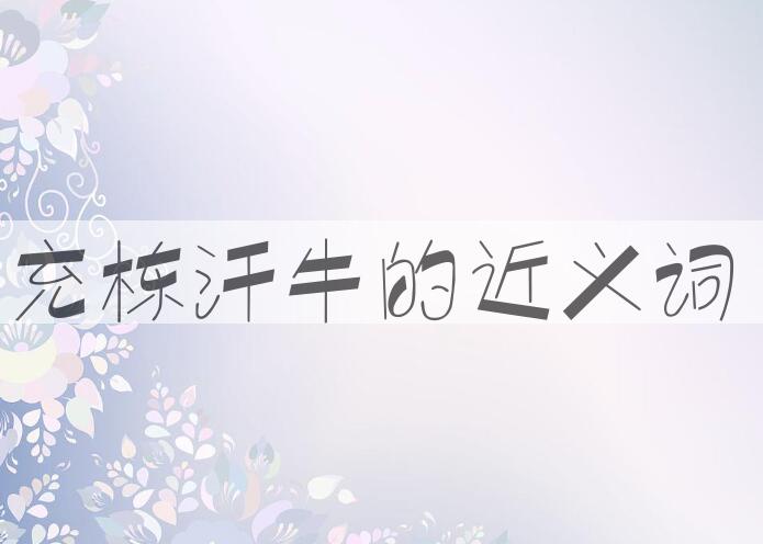用充栋汗牛造句