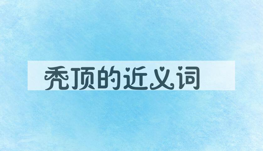 用秃顶造句