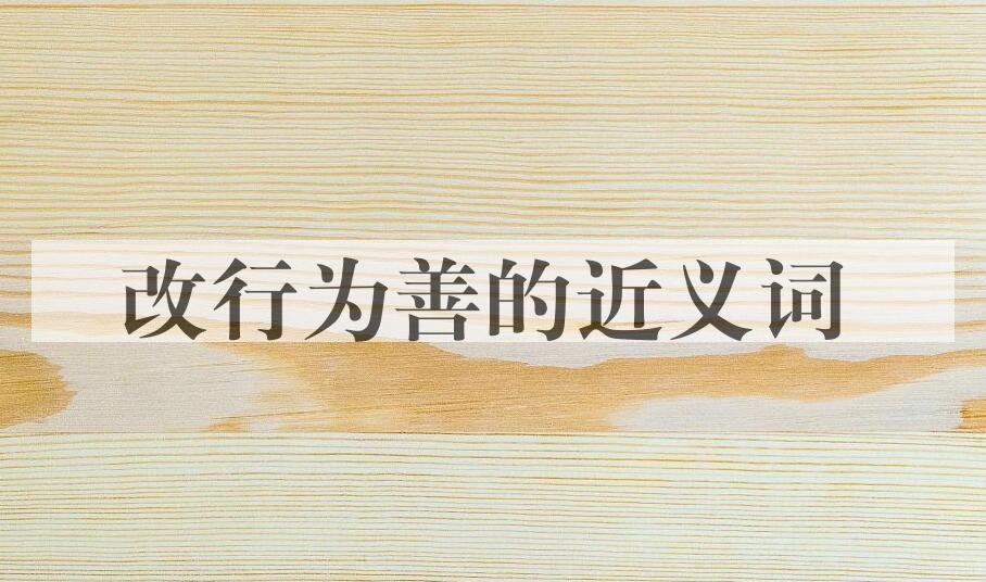 用改行为善造句