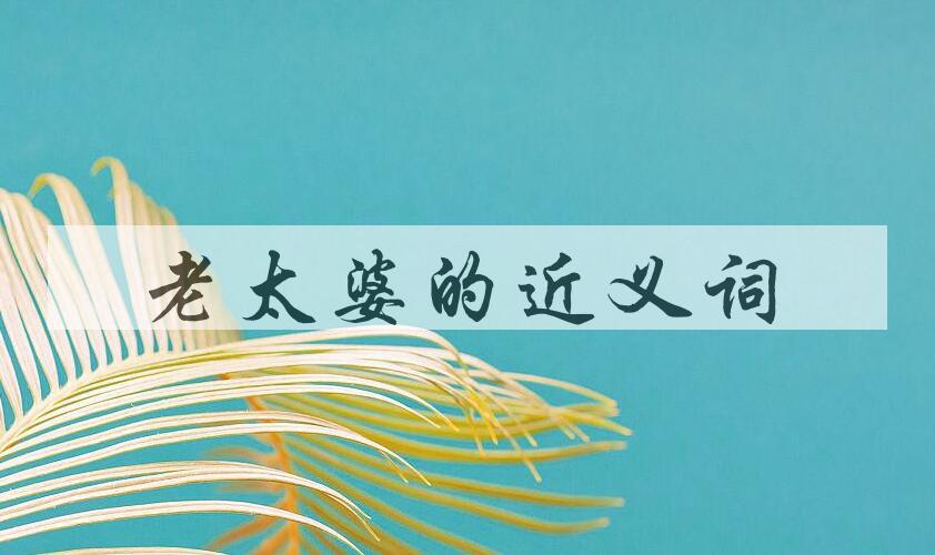 用老太婆造句