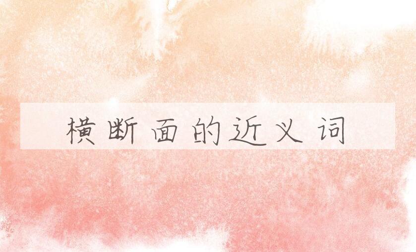 用横断面造句