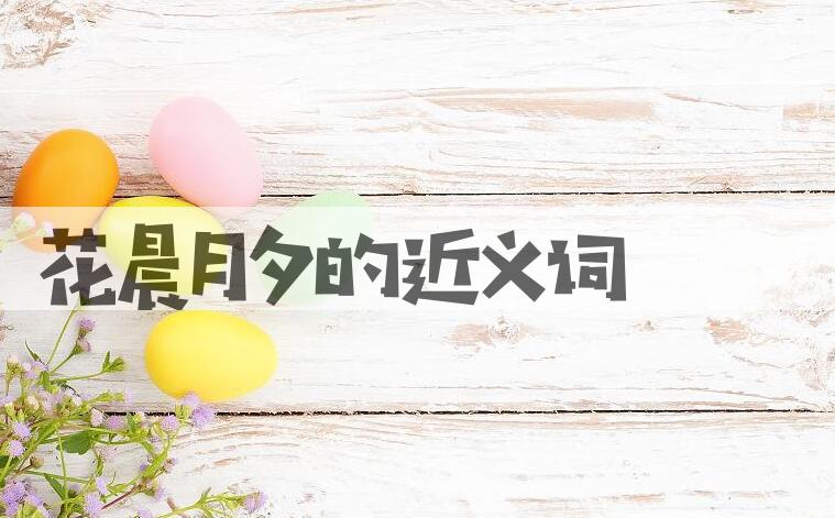 用花晨月夕造句