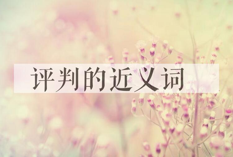 用评判造句