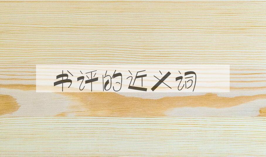 用书评造句