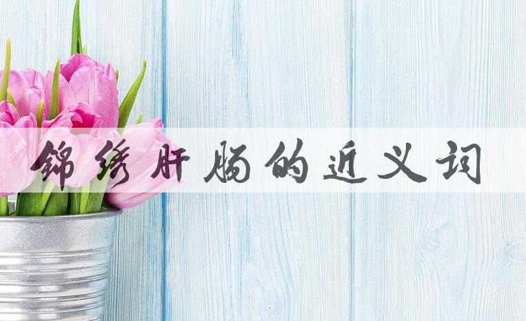 用锦绣肝肠造句